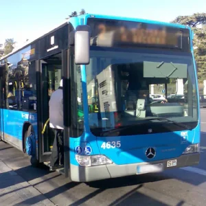 Permiso Carnet de autobús D