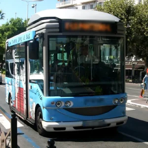 Permiso Carnet de autobús D1